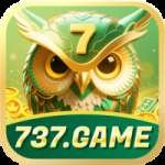 737 Logo